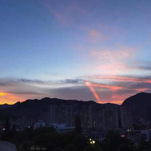 国产黄色免费网站
