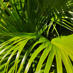 国产黄色免费网站
